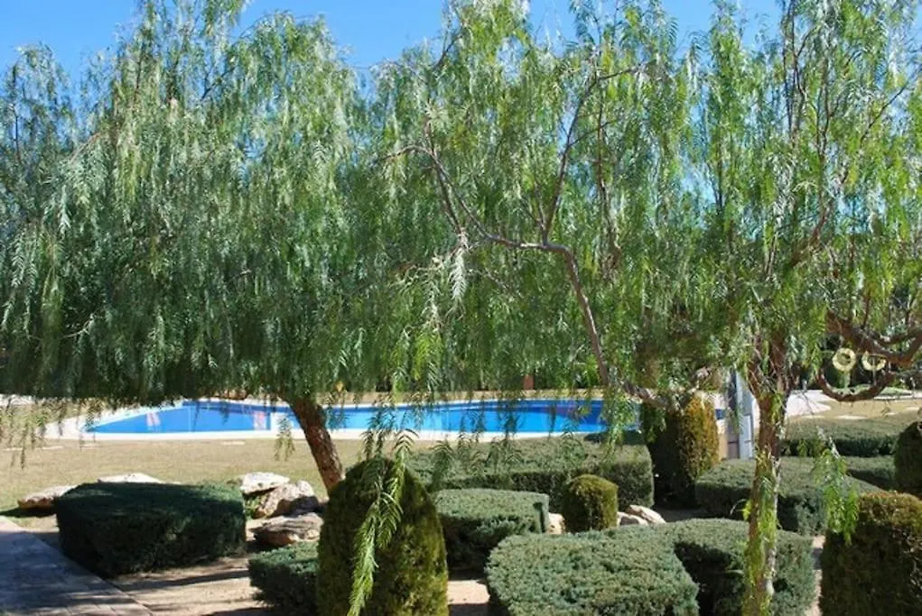Apartment Appartement Residentiel Avec Jardin Et Piscine Calafat